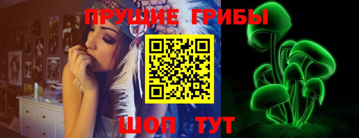 Соль-Илецк  Галлюциногенные грибы прущие грибы  Вход с VPN  Галлюциногенные грибы Cubensis 